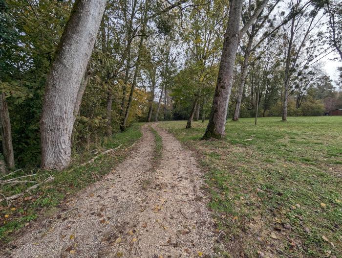 Photo du terrain après les travaux d'élagage