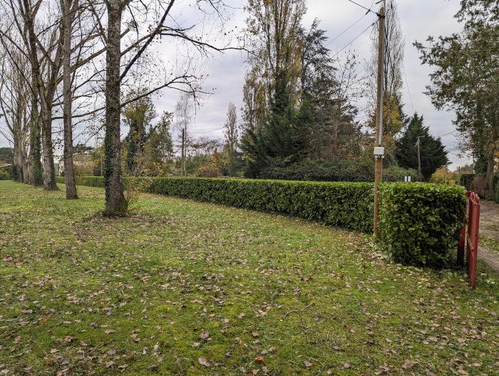 Photo de haie taillée